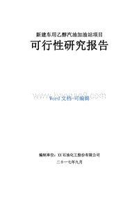 新建车用乙醇汽油加油站项目可行性研究报告.doc
