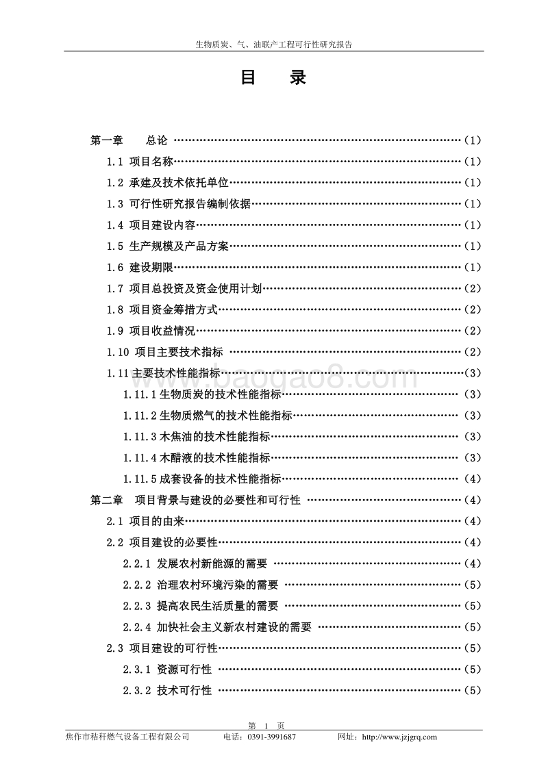 生物质炭气油联产工程可行性研究报告.doc_第2页