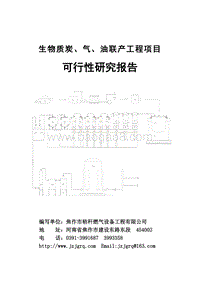 生物质炭气油联产工程可行性研究报告.doc