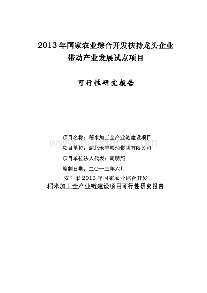 稻米加工全产业链建设项目可行性研究报告.doc_第1页