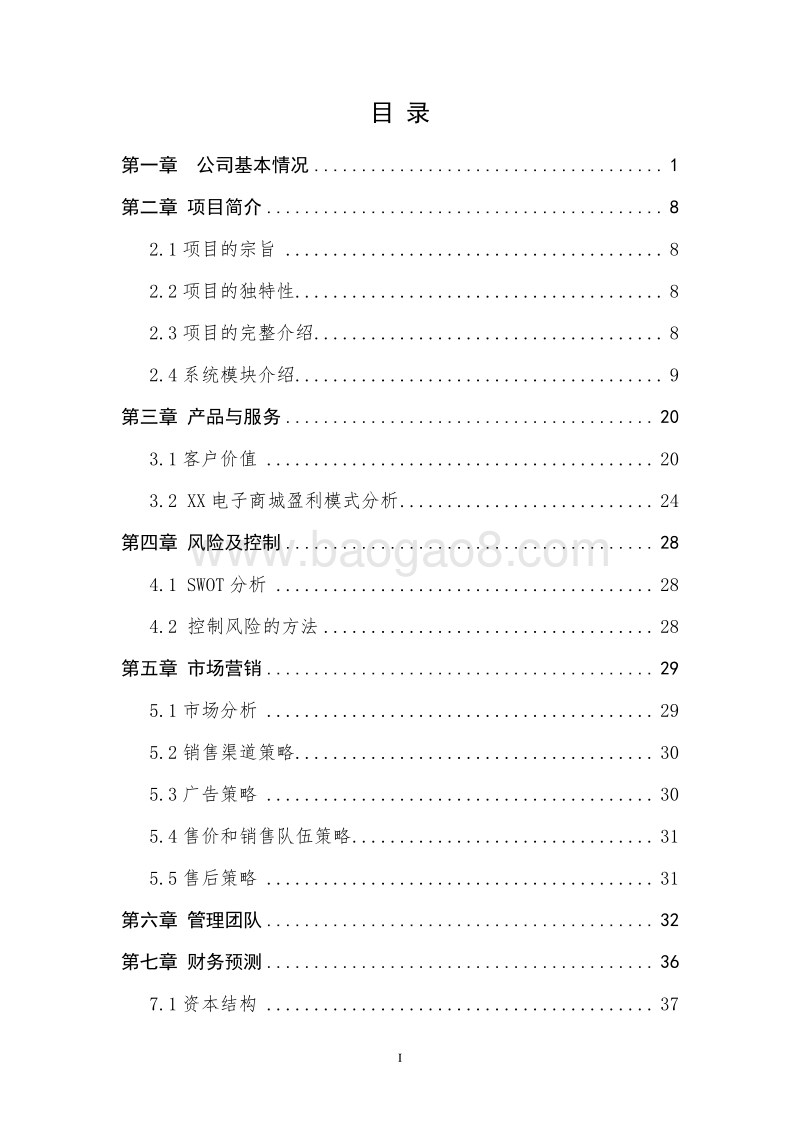 XX地区电子商城建设项目商业计划书.doc_第2页