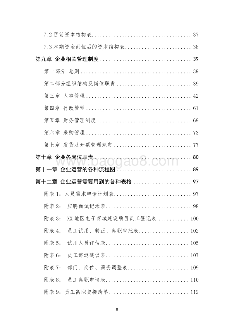 XX地区电子商城建设项目商业计划书.doc_第3页