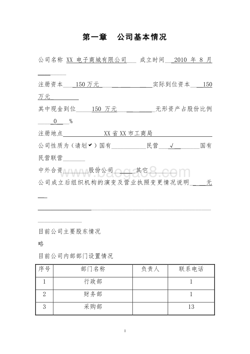 XX地区电子商城建设项目商业计划书.doc_第5页