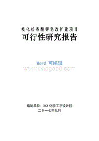 岐化松香酸钾皂改扩建项目可行性研究报告.doc