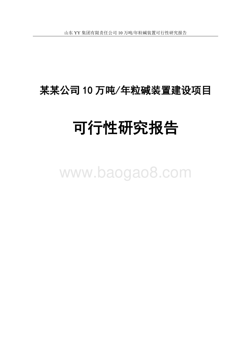 某某公司10万吨年粒碱装置建设项目可行性研究报告.doc_第1页