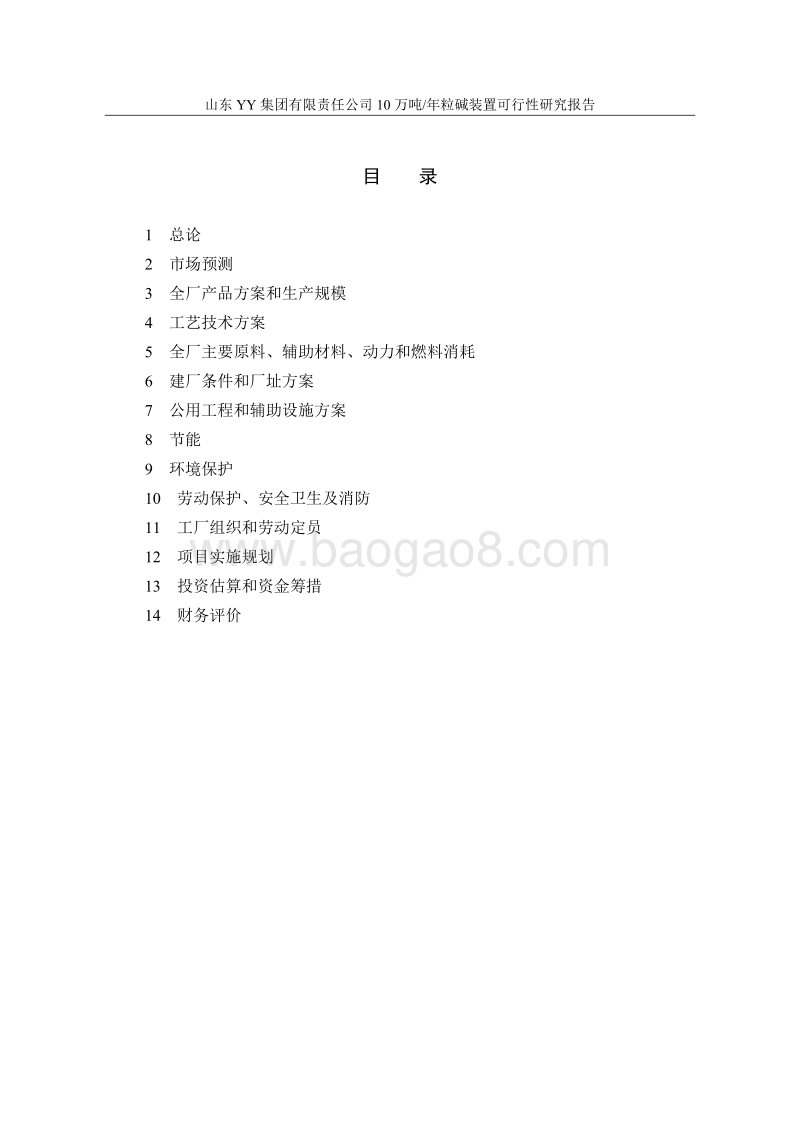 某某公司10万吨年粒碱装置建设项目可行性研究报告.doc_第2页