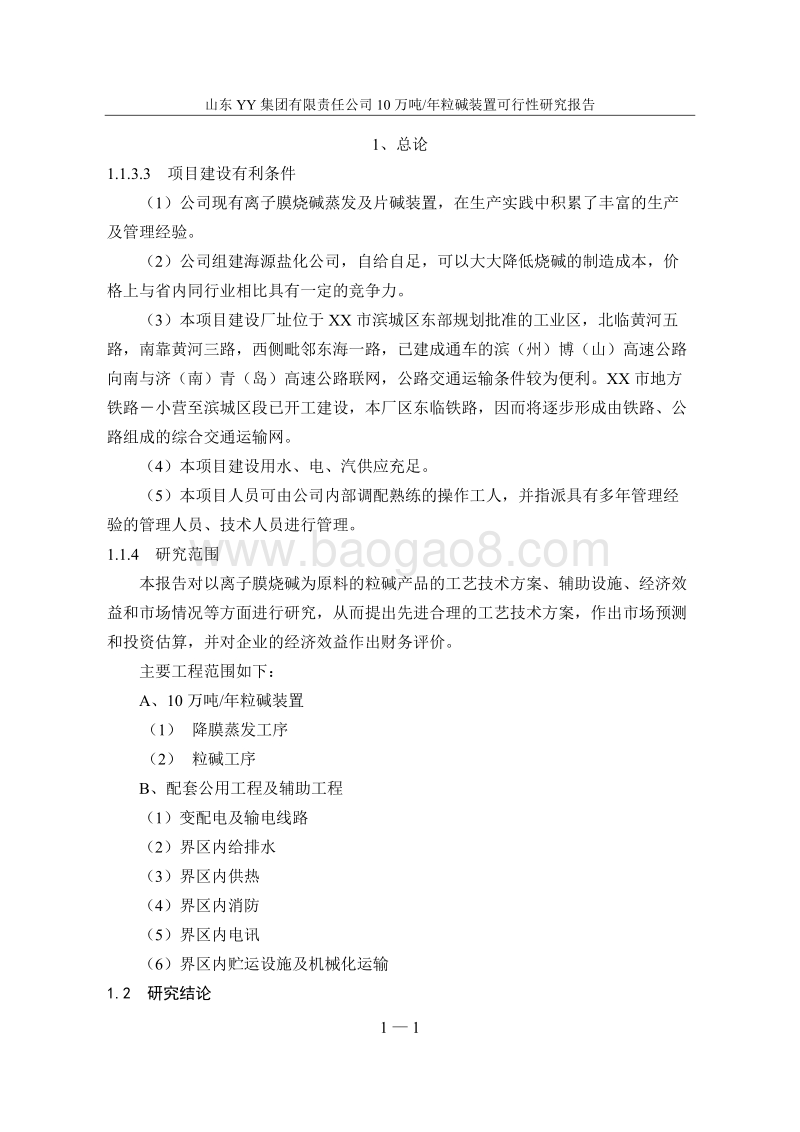 某某公司10万吨年粒碱装置建设项目可行性研究报告.doc_第3页