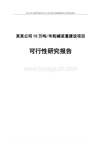 某某公司10万吨年粒碱装置建设项目可行性研究报告.doc
