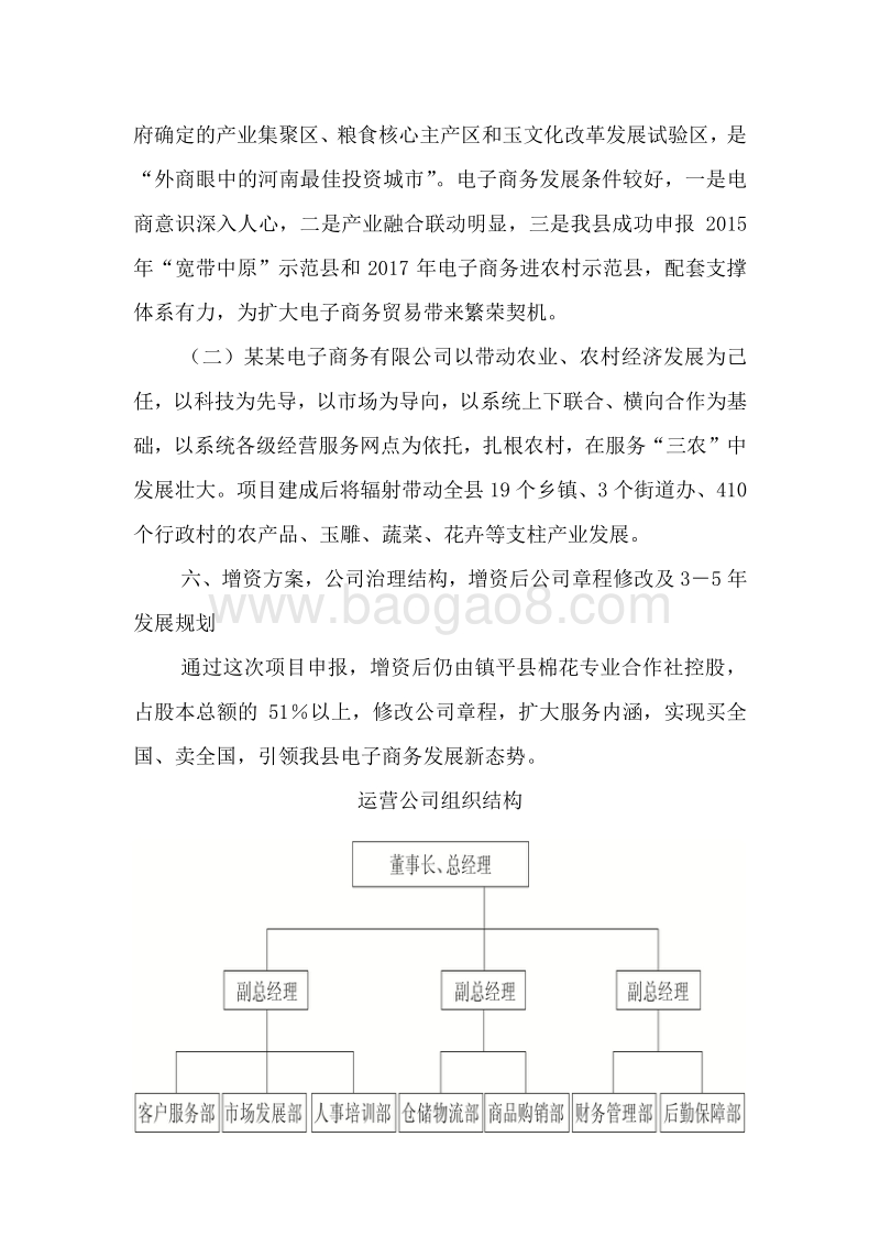 某某地区农业特色互联网小镇建设项目资金申请报告.doc_第5页