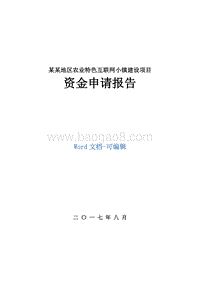 某某地区农业特色互联网小镇建设项目资金申请报告.doc