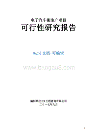 电子汽车衡生产项目可行性研究报告.doc