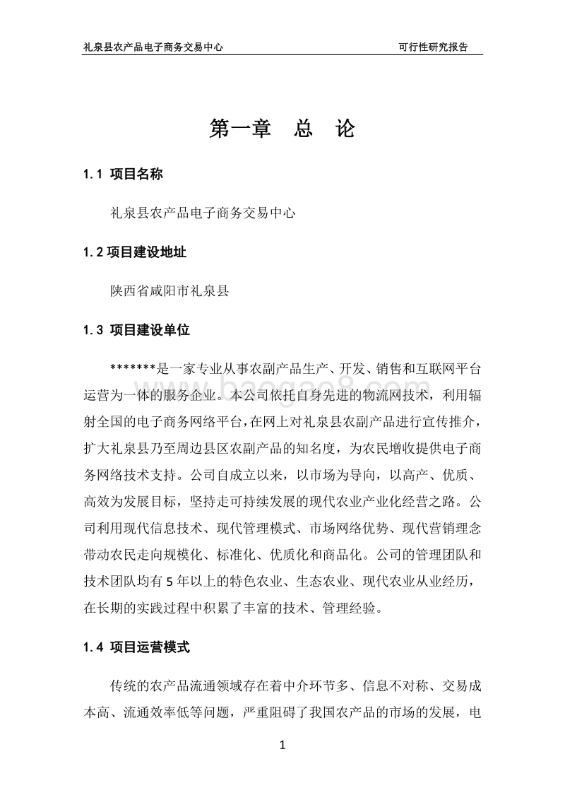 农产品电子商务中心建设项目可行性研究报告.doc_第4页