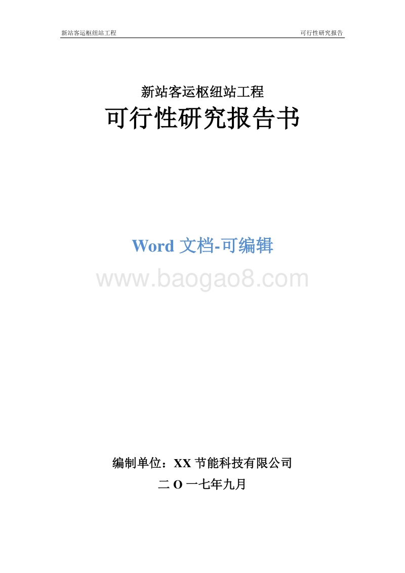 新站客运枢纽站工程可行性研究报告.doc_第1页