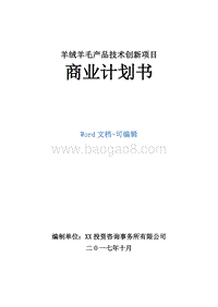 羊绒羊毛产品技术创新项目商业计划书.doc