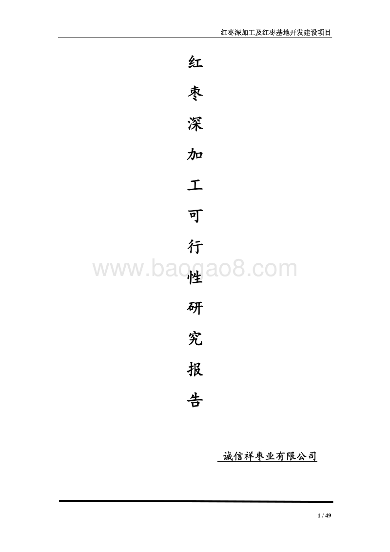 红枣深加工项目可行性研究报告.docx_第1页