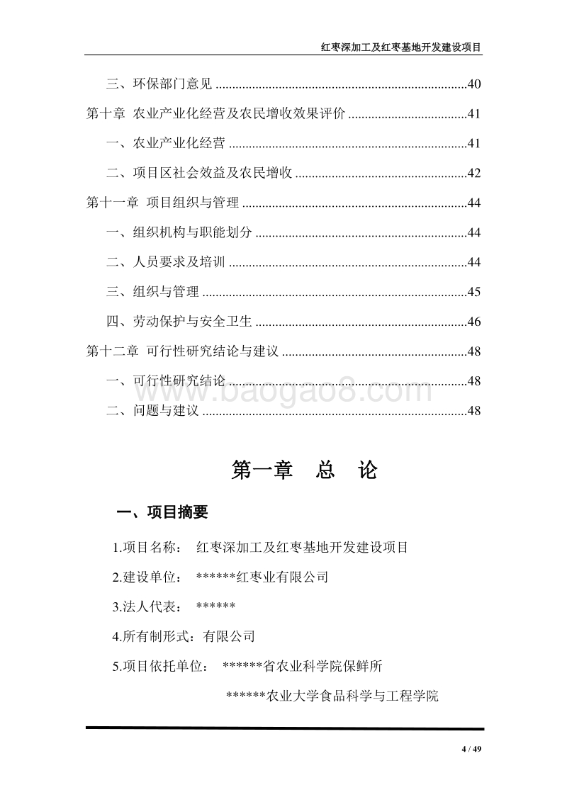 红枣深加工项目可行性研究报告.docx_第4页