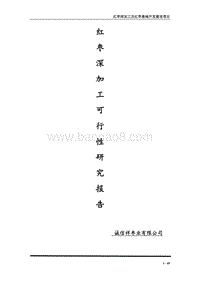 红枣深加工项目可行性研究报告.docx