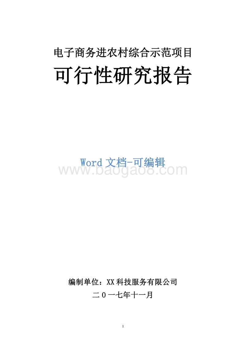电子商务进农村综合示范项目可行性研究报告 .doc_第1页