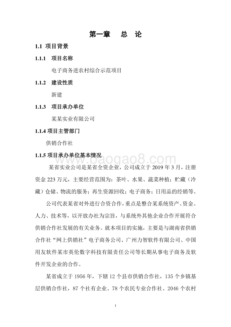 电子商务进农村综合示范项目可行性研究报告 .doc_第4页