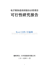 电子商务进农村综合示范项目可行性研究报告 .doc