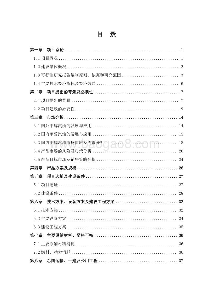车用甲醇汽油项目可行性研究报告.doc_第2页