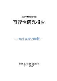 车用甲醇汽油项目可行性研究报告.doc