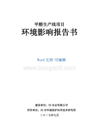 甲醛生产线项目环境影响报告书.doc