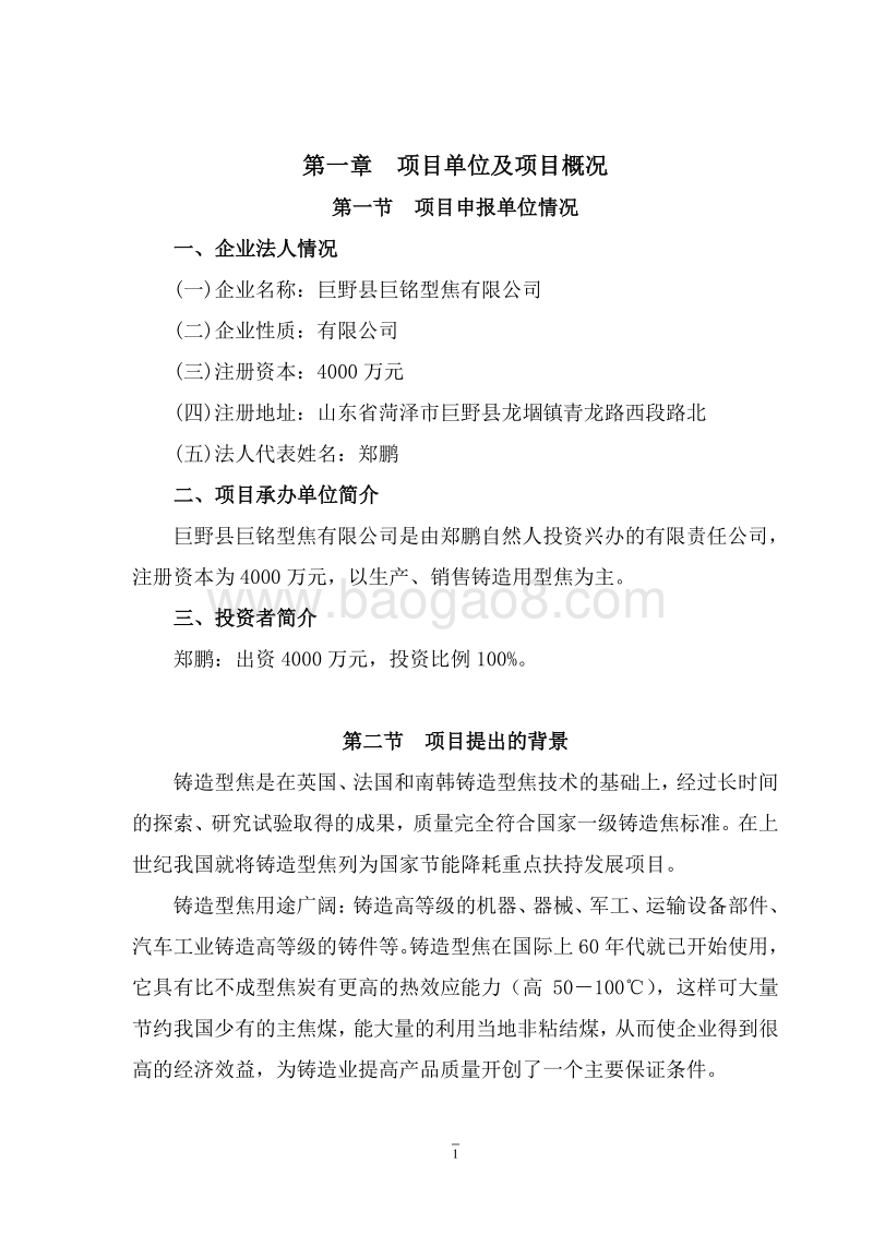 铸造用型焦生产基地建设项目可行性研究报告.doc_第5页