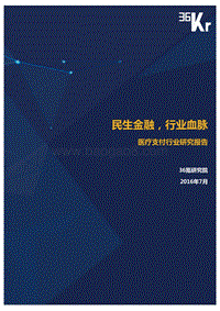 医疗支付行业研究报告 - 36Kr.pdf