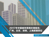 2017年中国城市营商环境报告.pdf