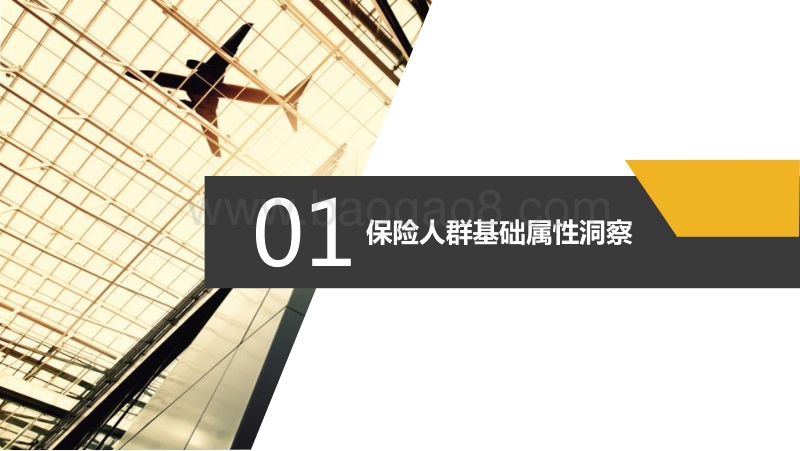 2017保险行业用户数据报告.pdf_第3页