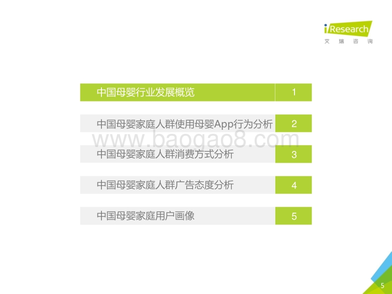 2017年中国母婴家庭人群白皮书.pdf_第5页