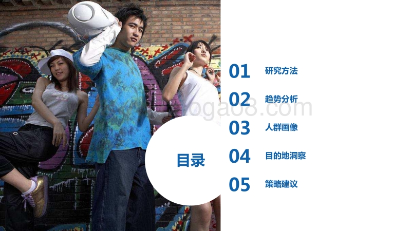 2017年中国旅游目的地白皮书.pdf_第3页