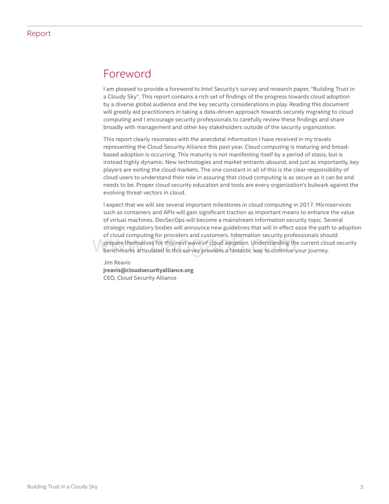 2017年全球云计算安全报告.pdf_第3页