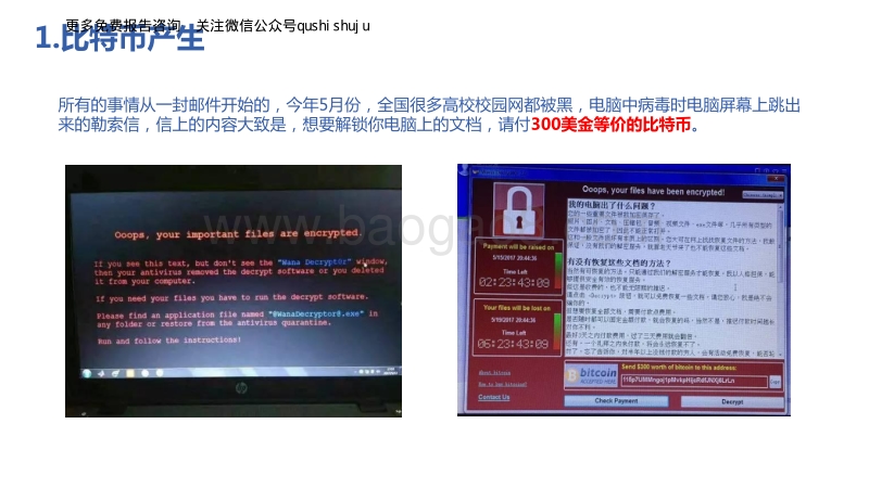 比特币行业研究报告.pdf_第2页