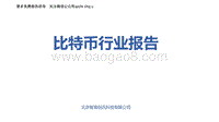 比特币行业研究报告.pdf