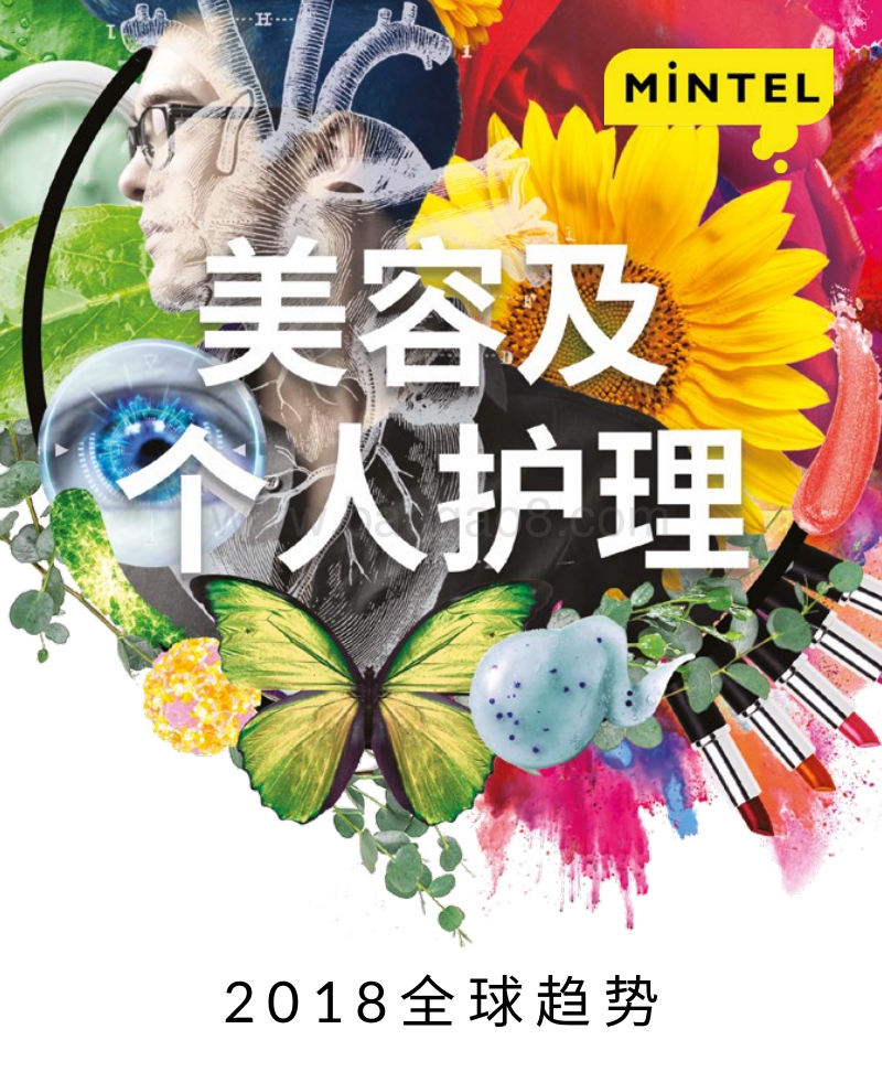 全球美容及个人护理趋势2018.pdf_第1页