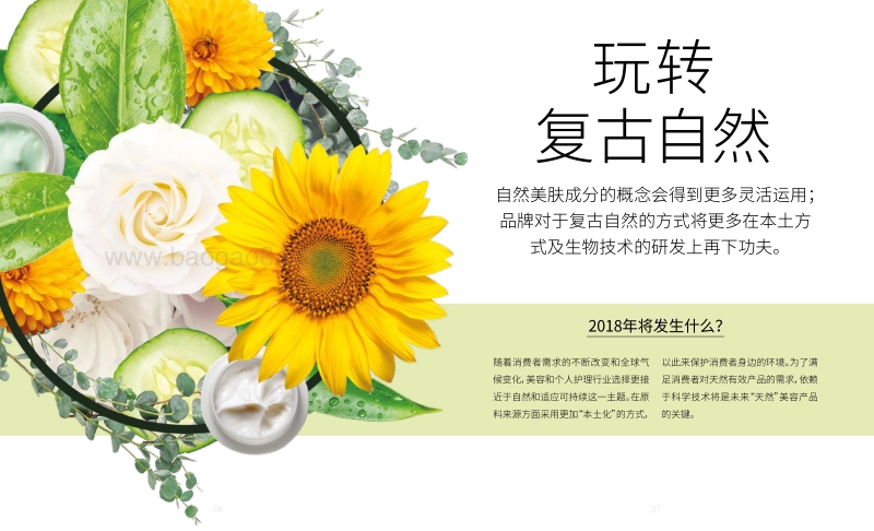 全球美容及个人护理趋势2018.pdf_第4页