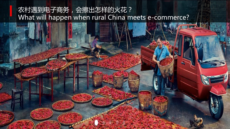 解读农村电商普惠发展（24张PPT）.pdf_第5页