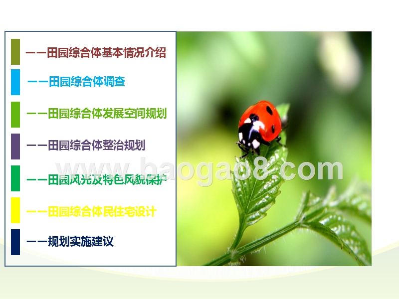 田园综合体项目规划设计.ppt_第2页