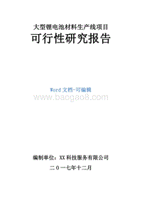 大型锂电池材料生产线项目可行性研究报告.doc