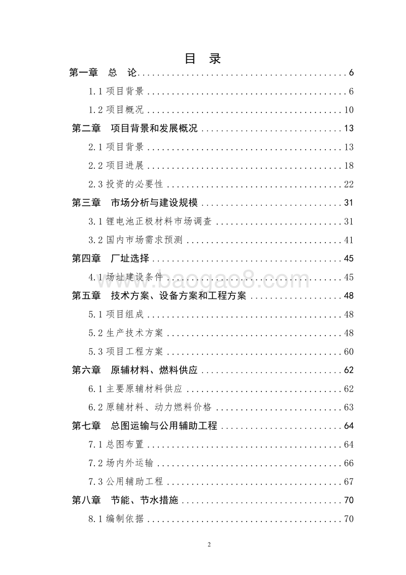 大型锂电池材料生产线项目可行性研究报告.doc_第2页