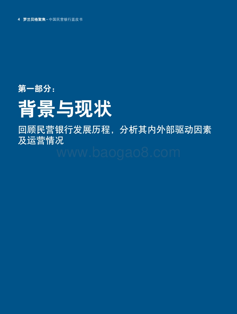 2017年中国民营银行蓝皮书.pdf_第4页