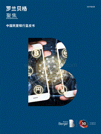 2017年中国民营银行蓝皮书.pdf