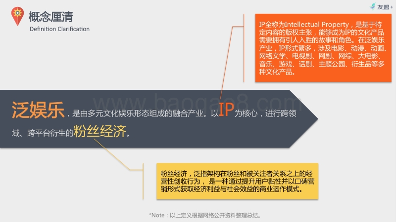 泛娱乐时代IP价值与粉丝经济研究报告 .pdf_第3页