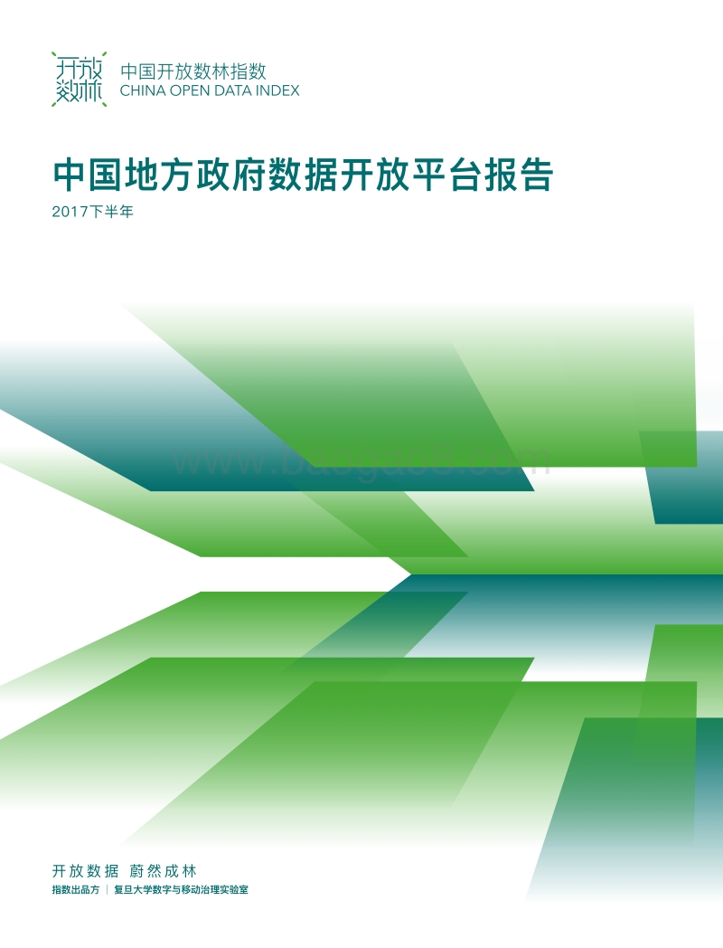 2017中国开放数林指数.pdf_第1页
