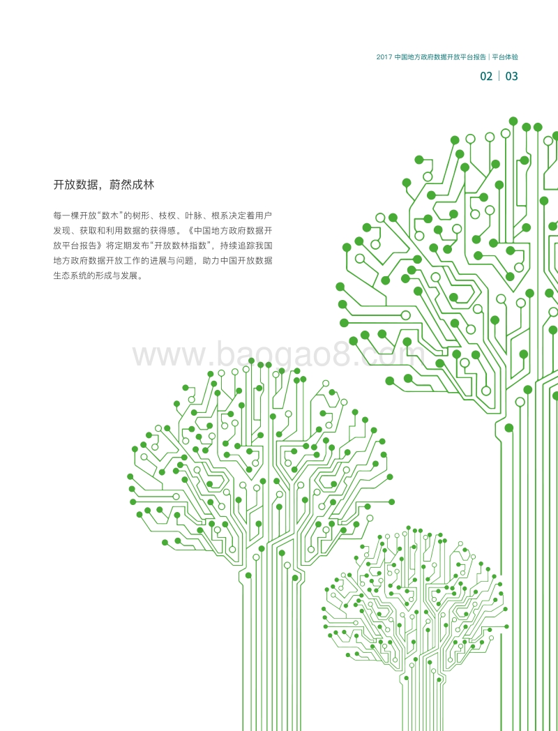 2017中国地方政府数据开放平台报告-平台体验.pdf_第5页