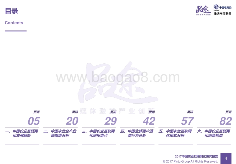 2017中国农业互联网化研究报告.pdf_第5页