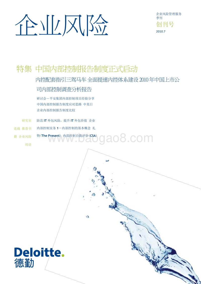 德勤内控资料第一期.pdf_第2页
