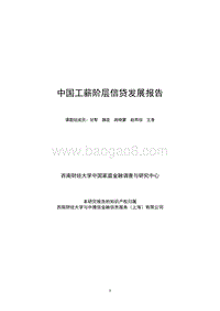 中国工薪阶层信贷发展报告（详细版）.pdf